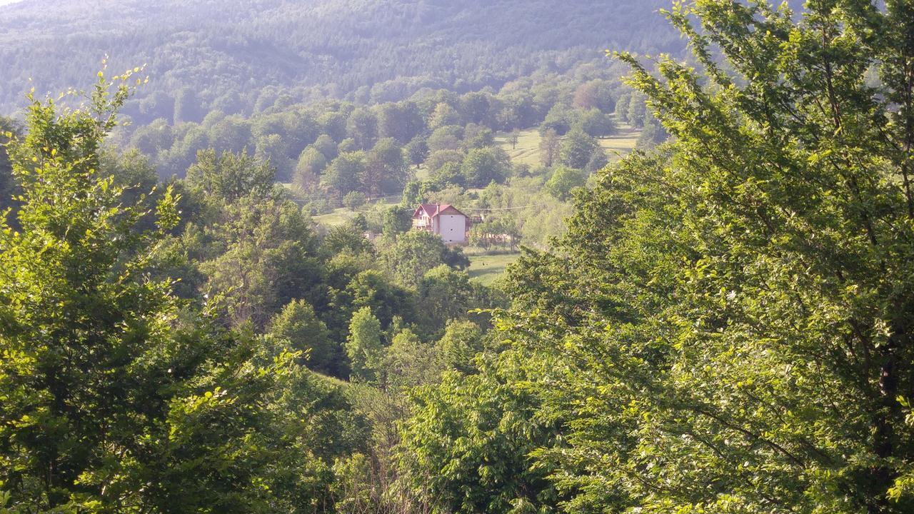 Casa Din Piatra Hotel Poiana  Buitenkant foto