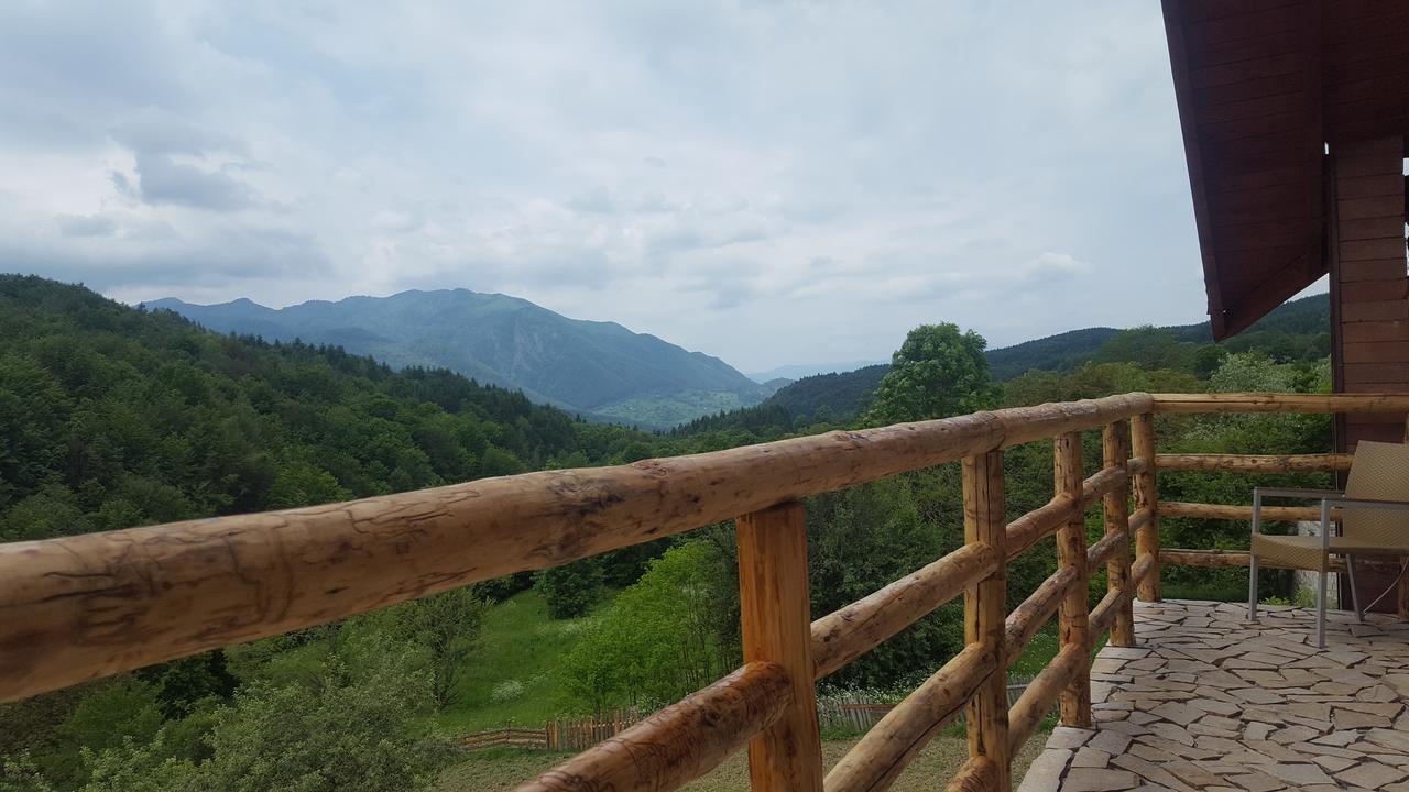 Casa Din Piatra Hotel Poiana  Buitenkant foto