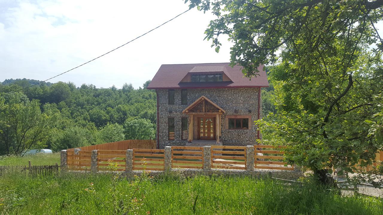Casa Din Piatra Hotel Poiana  Buitenkant foto