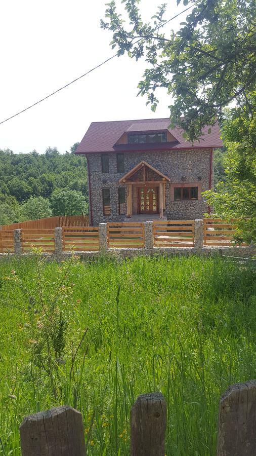 Casa Din Piatra Hotel Poiana  Buitenkant foto