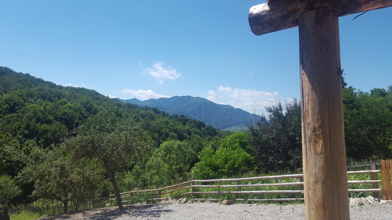 Casa Din Piatra Hotel Poiana  Buitenkant foto