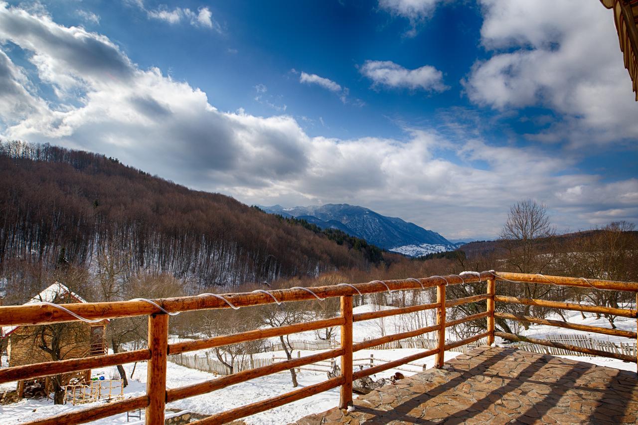 Casa Din Piatra Hotel Poiana  Buitenkant foto