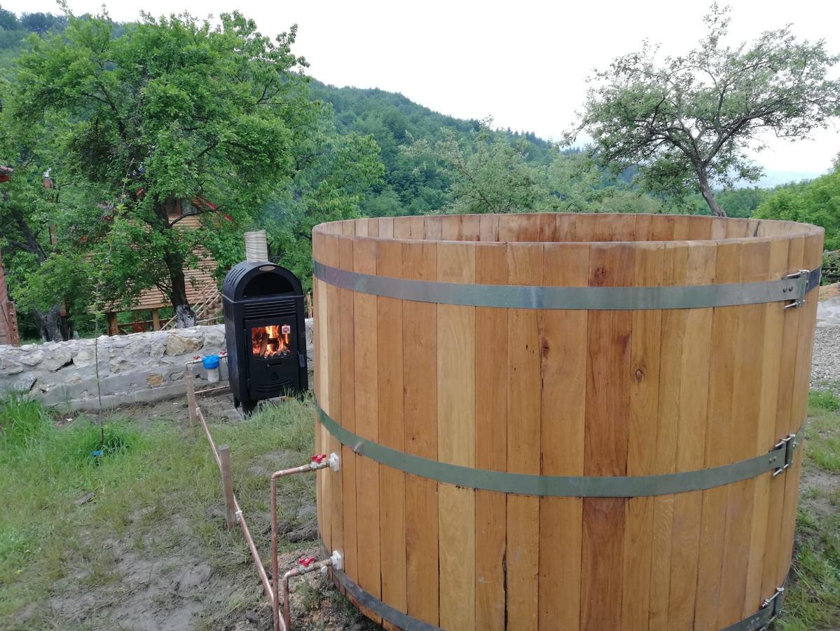 Casa Din Piatra Hotel Poiana  Buitenkant foto
