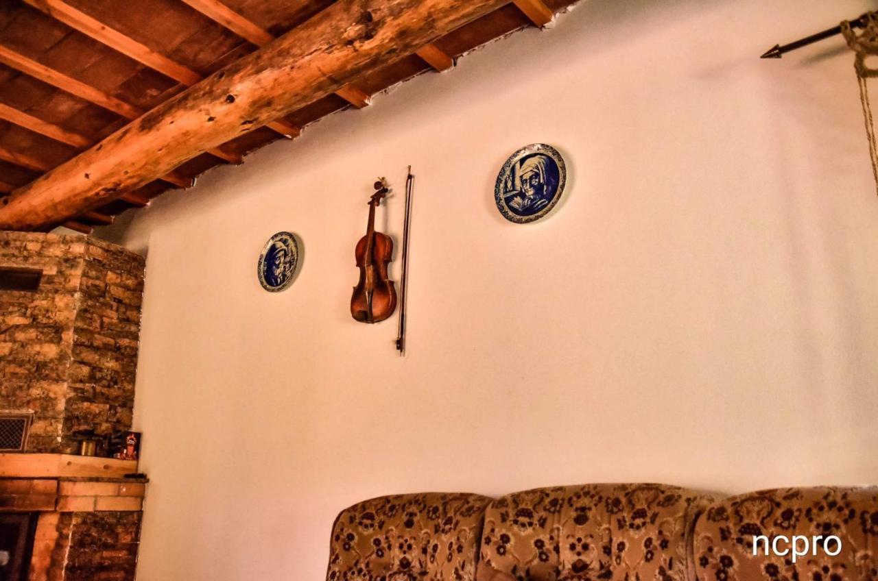 Casa Din Piatra Hotel Poiana  Buitenkant foto